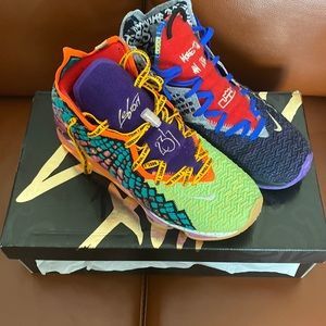 COPY - Lebron James 17s